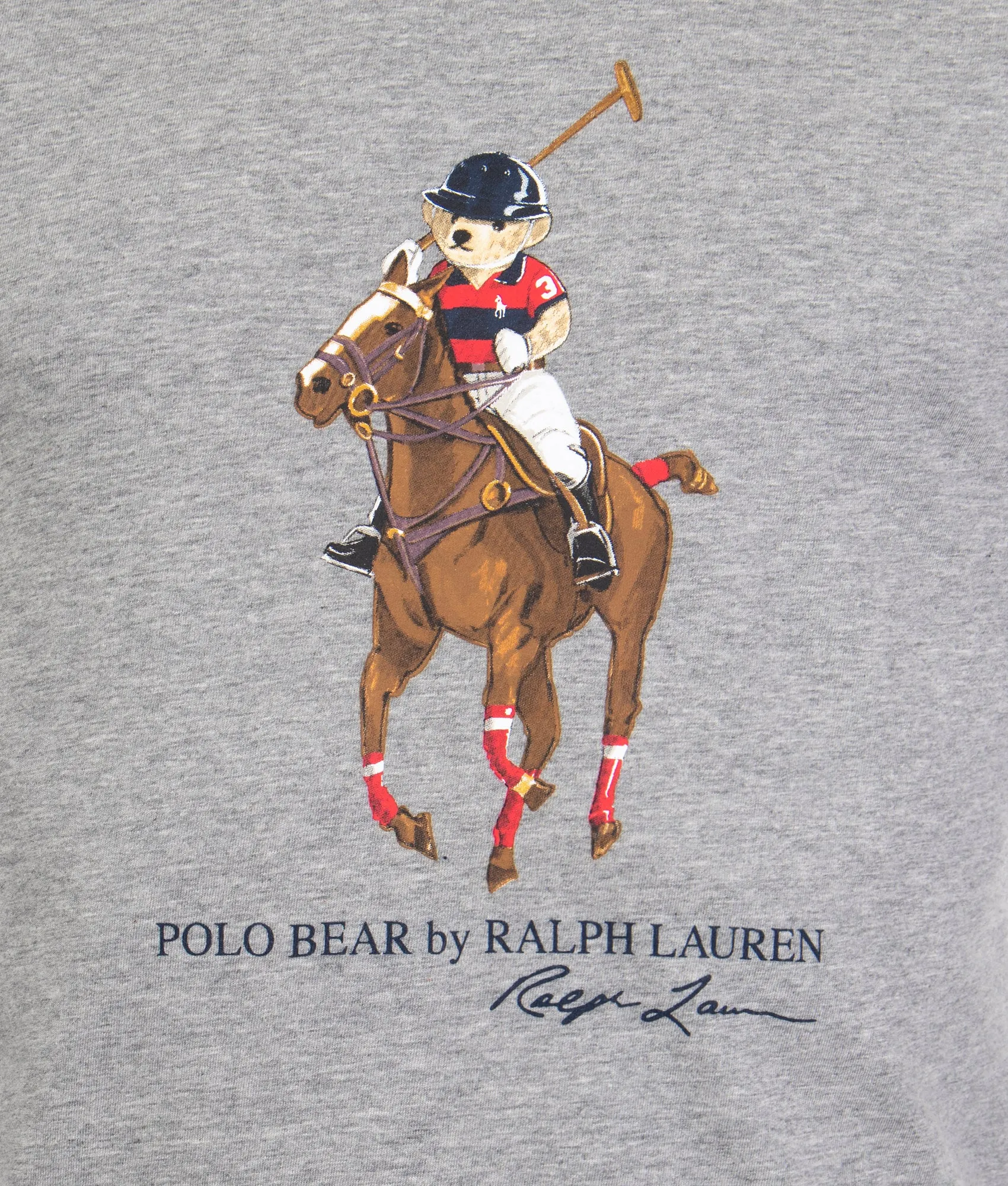 Polo Bear & Big Pony Hooded T-Shirt